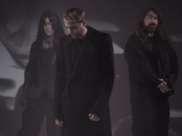 Health Ordinary Loss